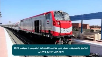 التالجو والمكيفة.. تعرف على مواعيد القطارات الخميس 4 سبتمبر 2025 بالوجهين البحري والقبلي